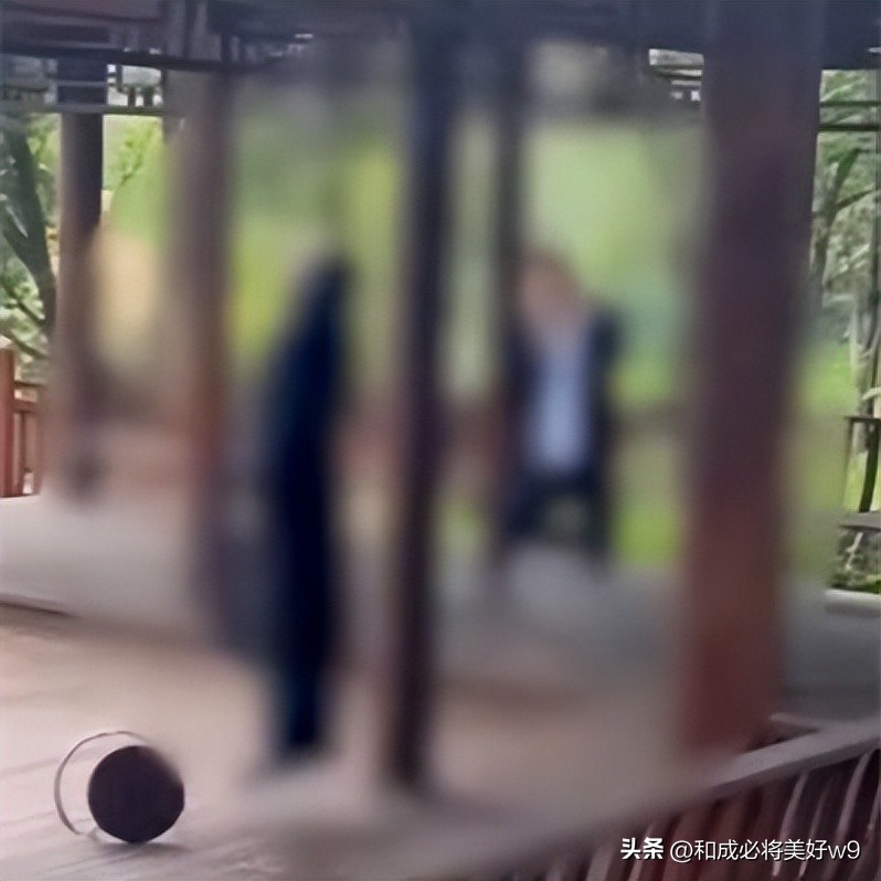 吉林白山一公园母子身亡,白山一对母子上吊事件