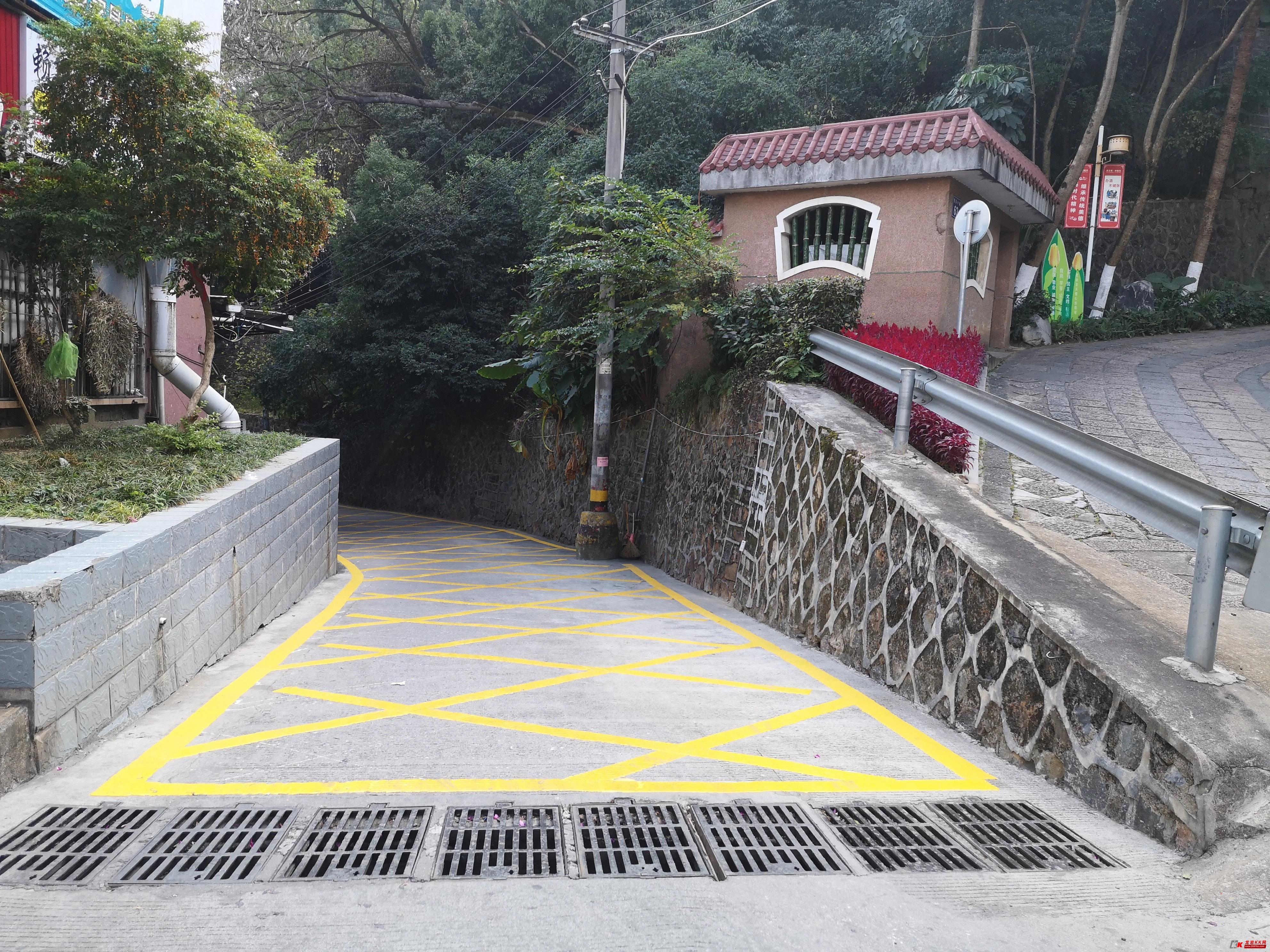 榫欏博娑堥槻鐢熷懡閫氶亾,榫欏博娑堥槻閫氶亾