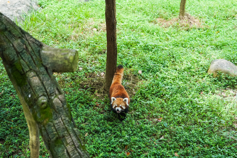 安吉中南百草园二天一夜攻略,安吉中南百草原刺激游乐项目