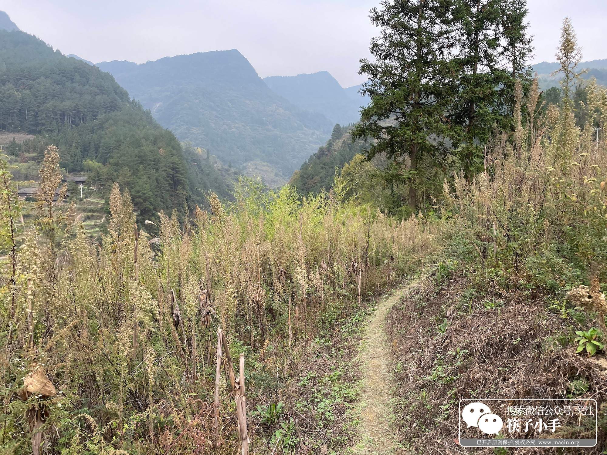 悬崖村步行道原来的样子,凉山悬崖村徒步