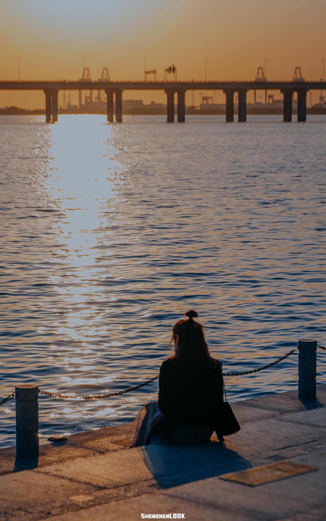 大美深圳全部视频,大美宝安