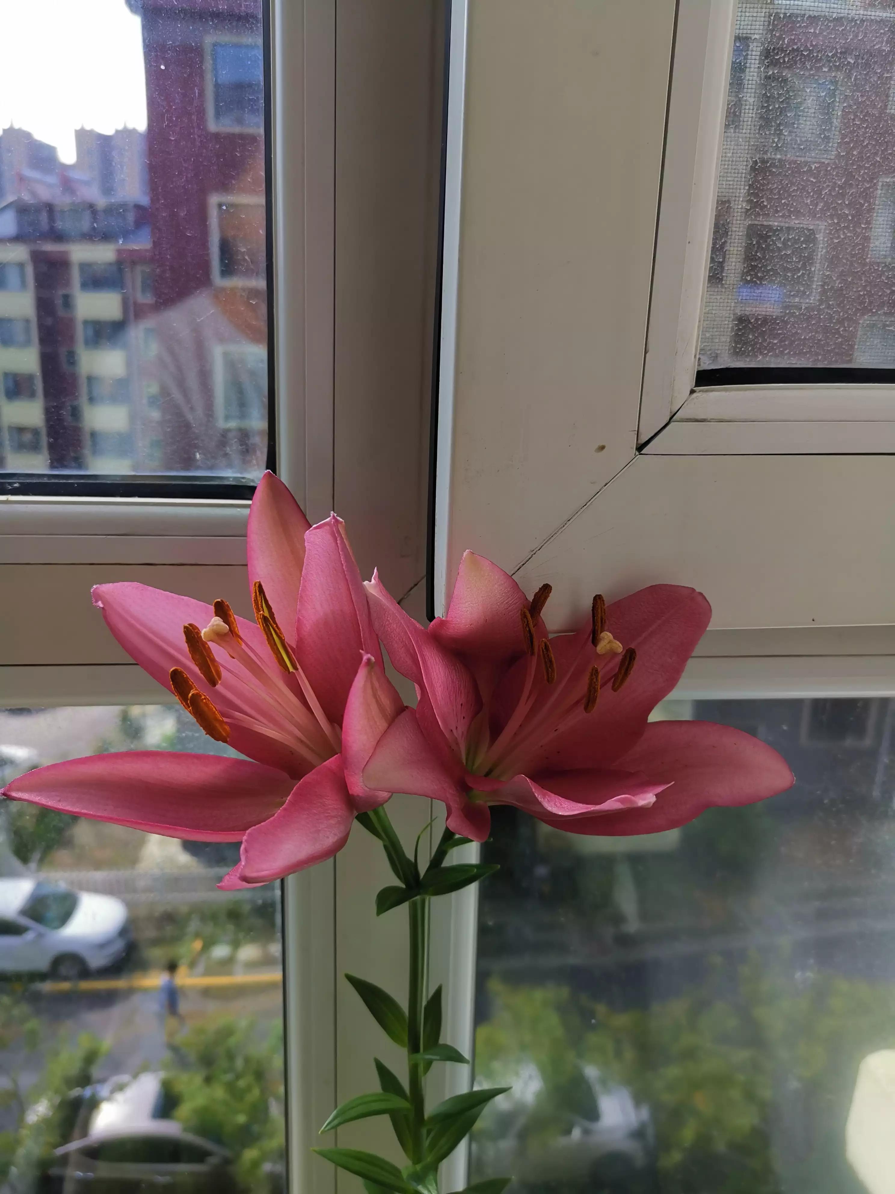 我的业余爱好介绍,我的业余爱好英语