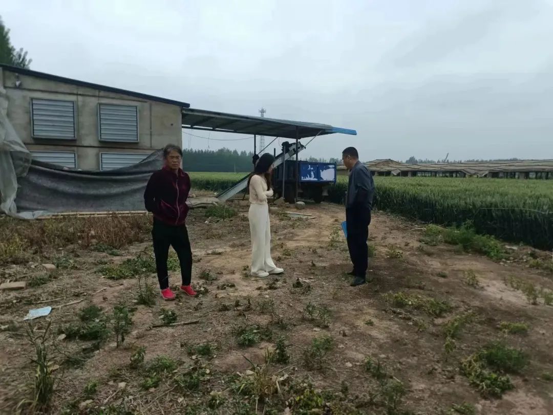 德州赵虎镇2024年规划,赵虎镇政府几点上班