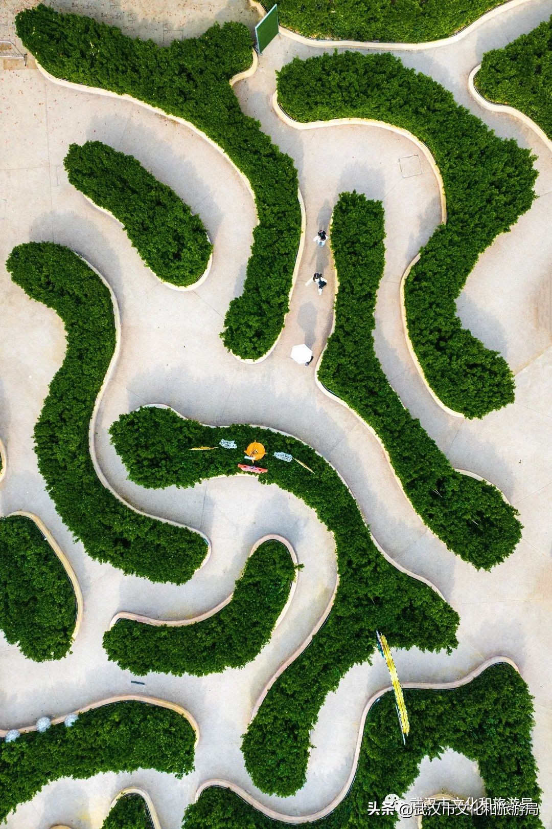 45米的蹦极有多高,45米蹦极限重是多少公斤