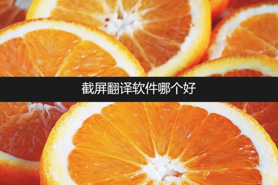 手机截屏翻译软件,电脑截屏翻译软件哪个最好