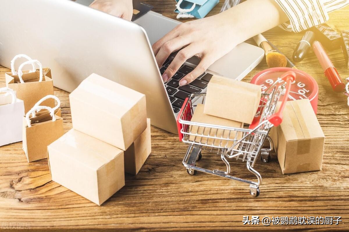 新手入门鹦鹉推荐,适合新手入门鹦鹉有哪些