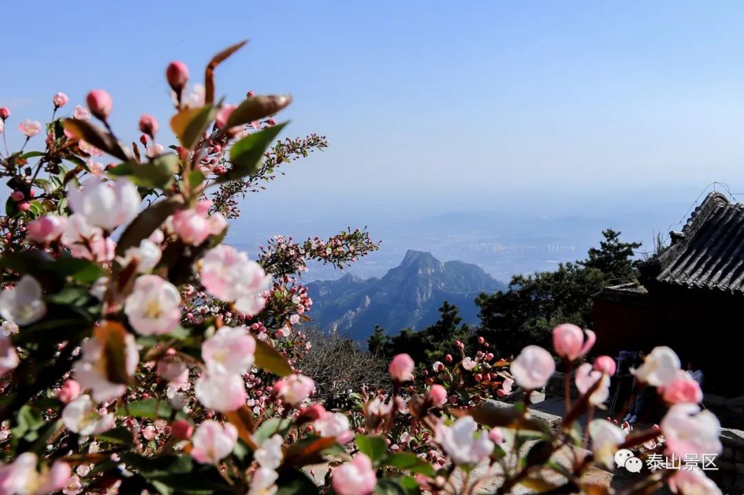 519中国旅游日游免费,519旅游日包头哪些景点免票