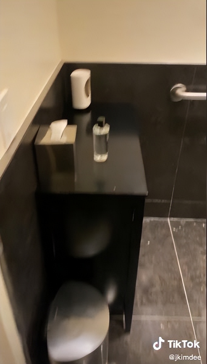 这姐们专门逛奢侈品店厕所火了！爱马仕厕所很拉垮，LV的最高级？