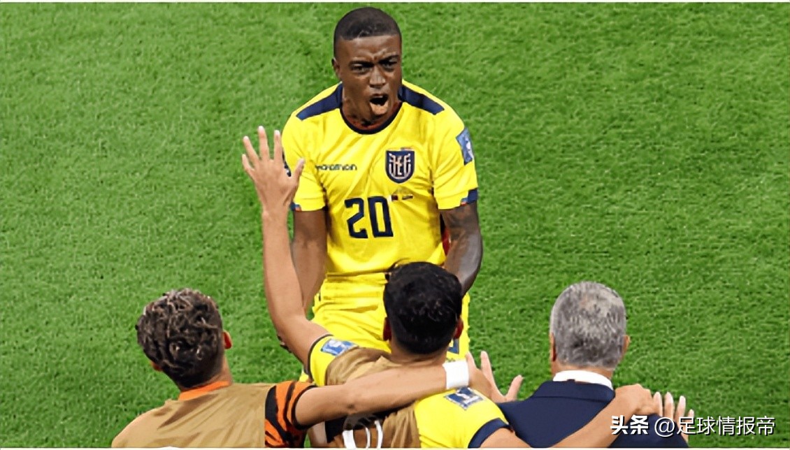 世界杯：荷兰VS卡塔尔，荷兰主帅称难大胜