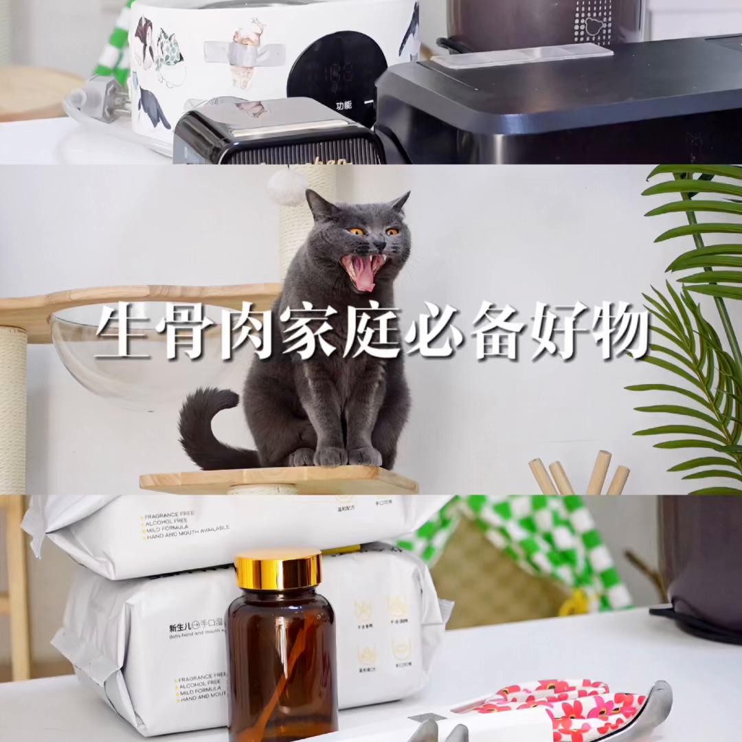 如何推荐宠物用品,宠物用品推荐