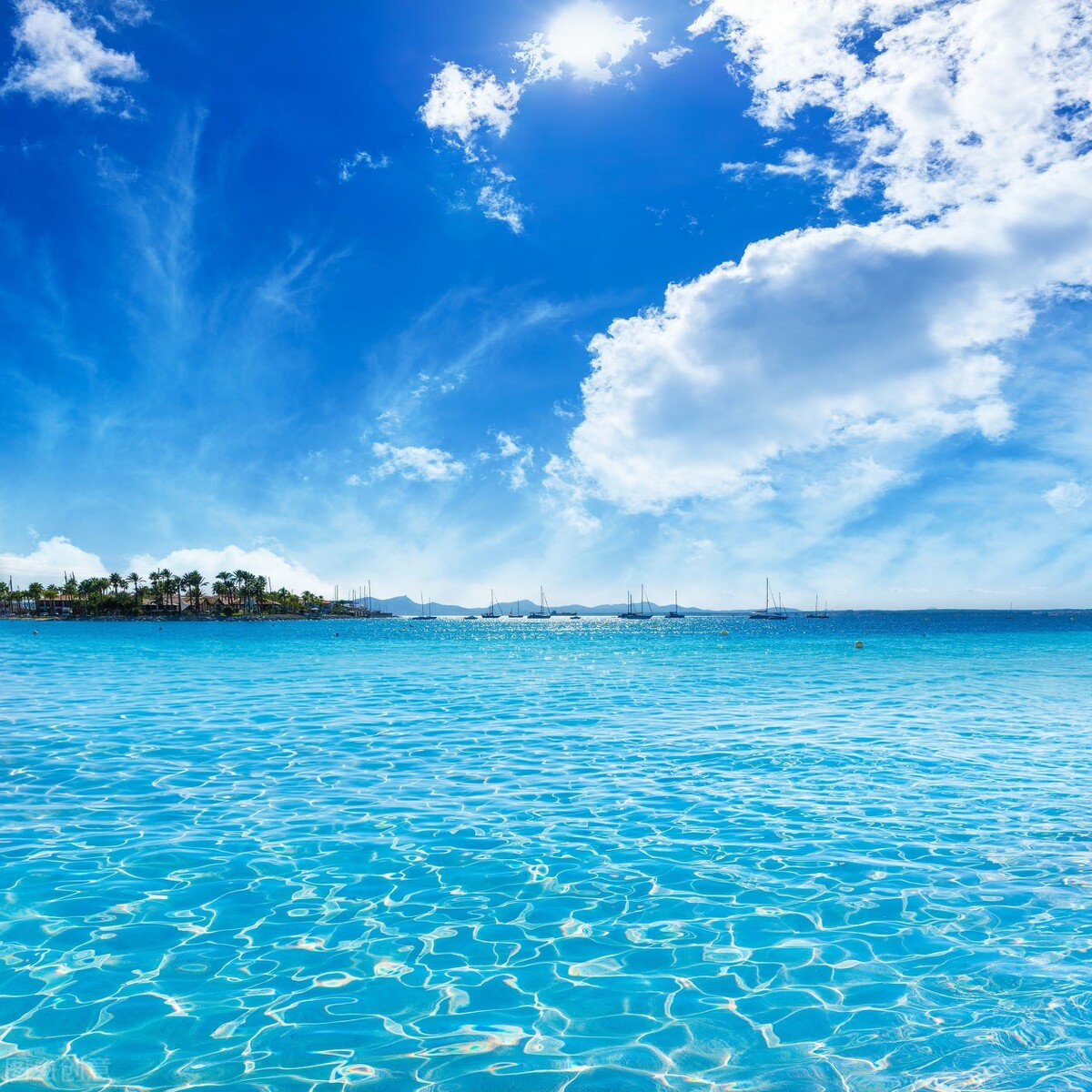 bpdq分不清楚怎么教,bpdq老是分不清