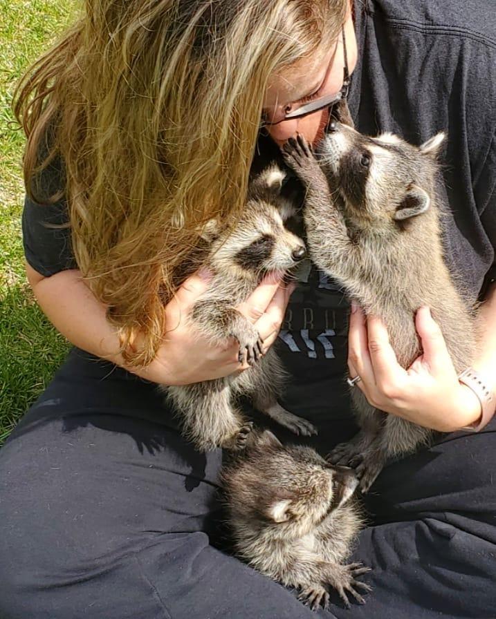 鍔犳嬁澶у皬娴g唺骞煎唇,鍔犳嬁澶у杺鍏诲皬娴g唺