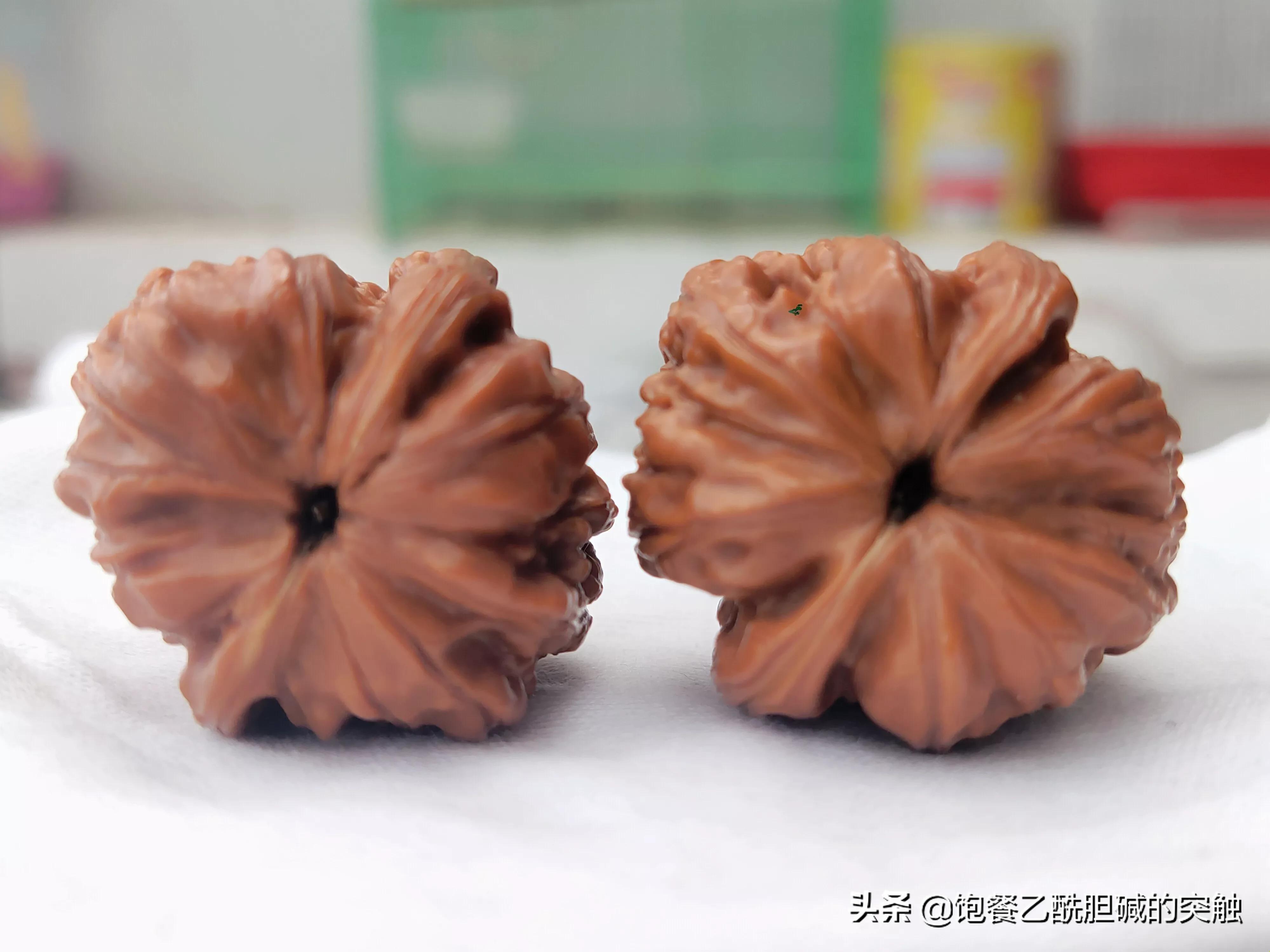 赤龙鸡心文玩核桃,文玩核桃赤龙是什么品种