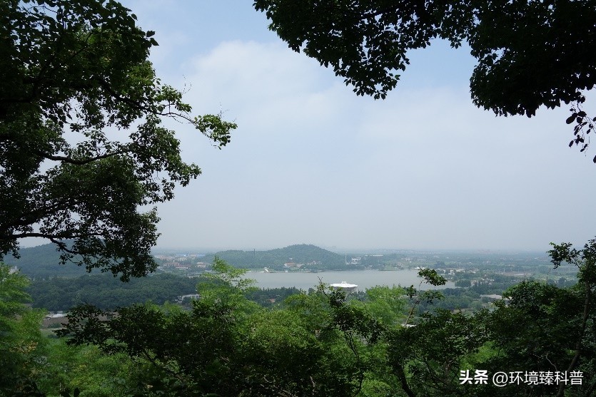 上海春季踏青亲子游好去处,上海周边城市踏青好去处推荐