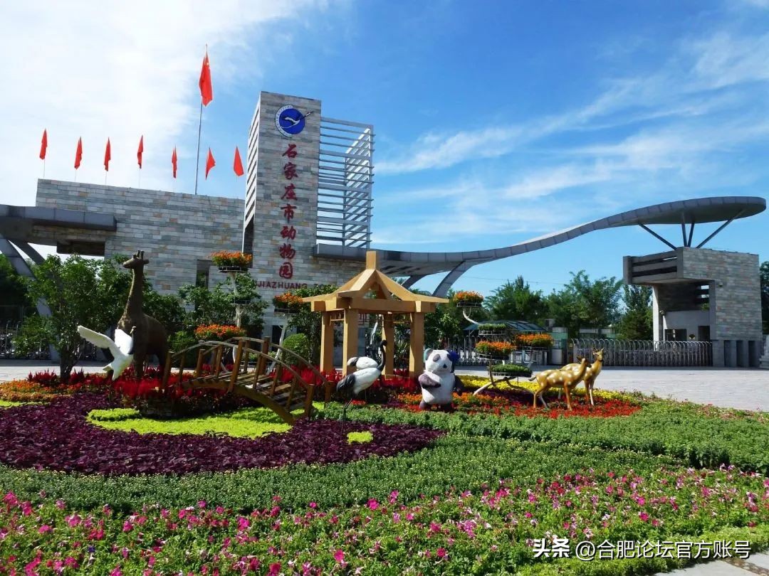 合肥6月特价机票,合肥出发全国旅游团购