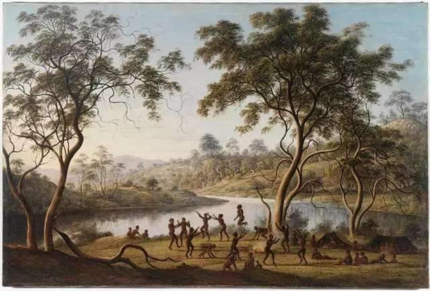 澳大利亚野马泛滥成灾,澳大利亚野马现状