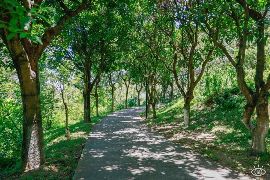 深圳10条入门登山线路推荐,深圳十大山峰最新登山攻略