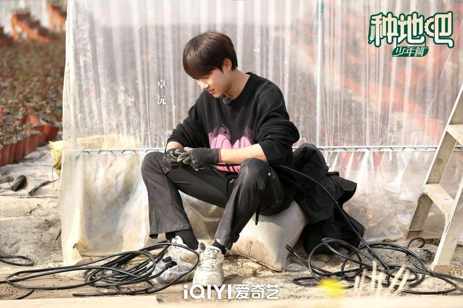 种地吧成长的阵痛完整版,种地吧水稻成长历程