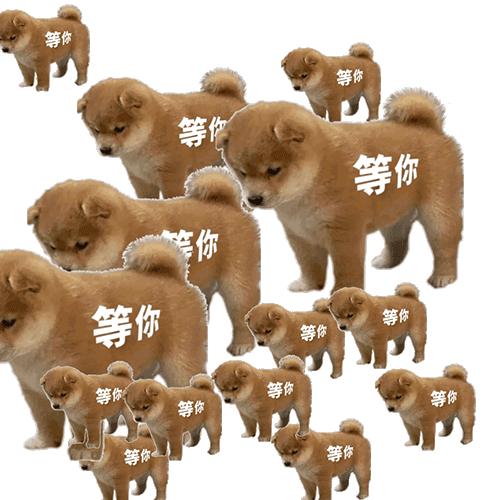 热门精华排行榜补水,热门精华怎么选