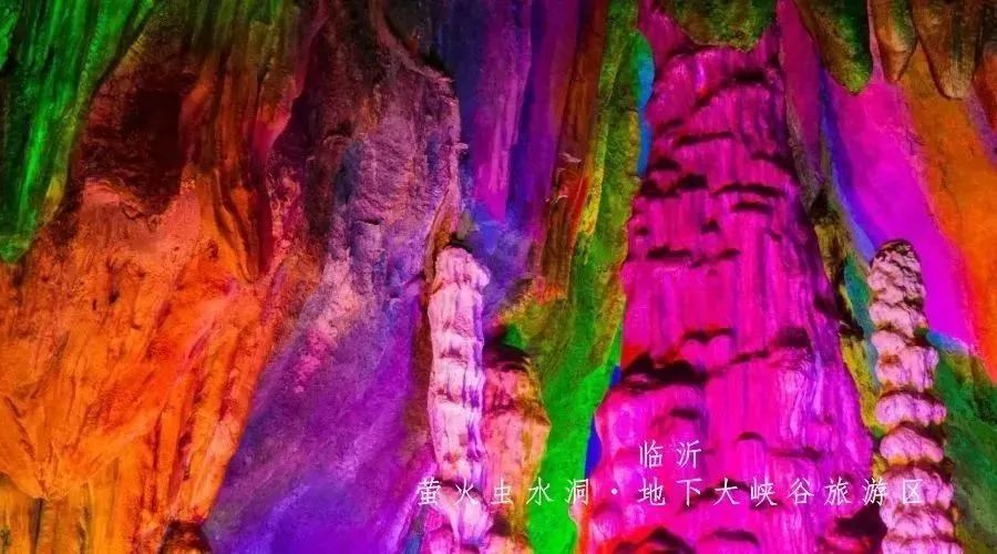 邀您共赏春,邀您一起奔赴冬日之约