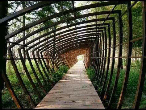 上海免费适合遛娃的公园,上海亲子公园游玩地点推荐