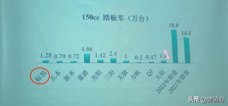 山中无老虎猴子称霸王对应的句子,山中无老虎猴子称霸王相关语句