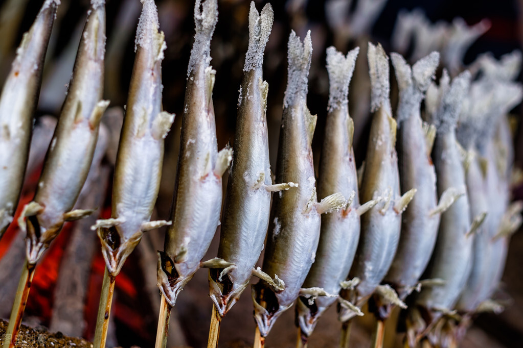 江户风味人间——读《一个单身赴任下级武士的江户日记》