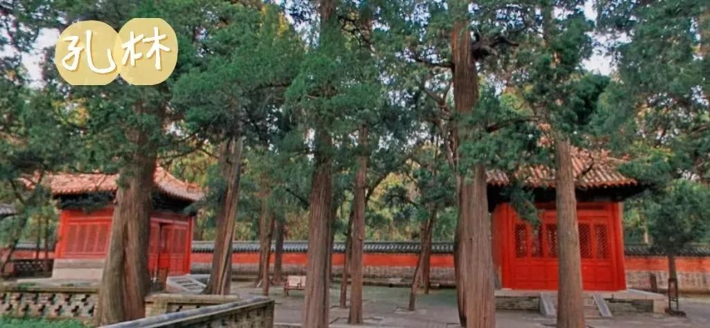 走进齐鲁,走进山东泰山