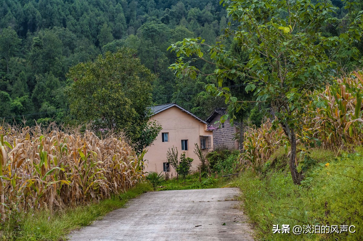 乡镇那些事41集,乡镇那些事51