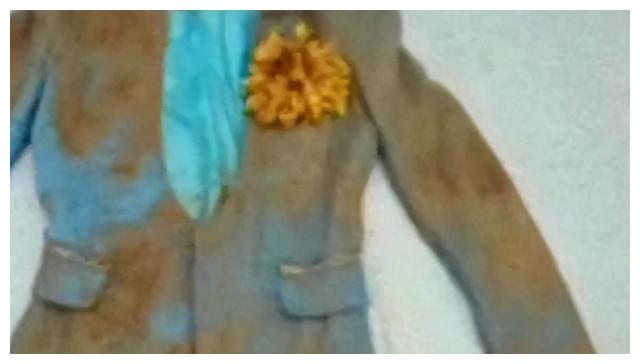 上海江边惊现无名女尸案,江边现无名女尸