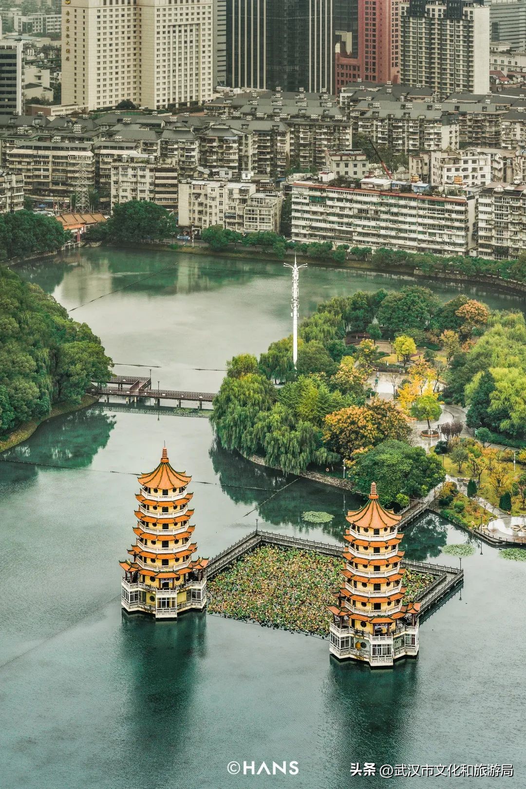 离武汉人最近的湿地，家楼下的10个宝藏小湖