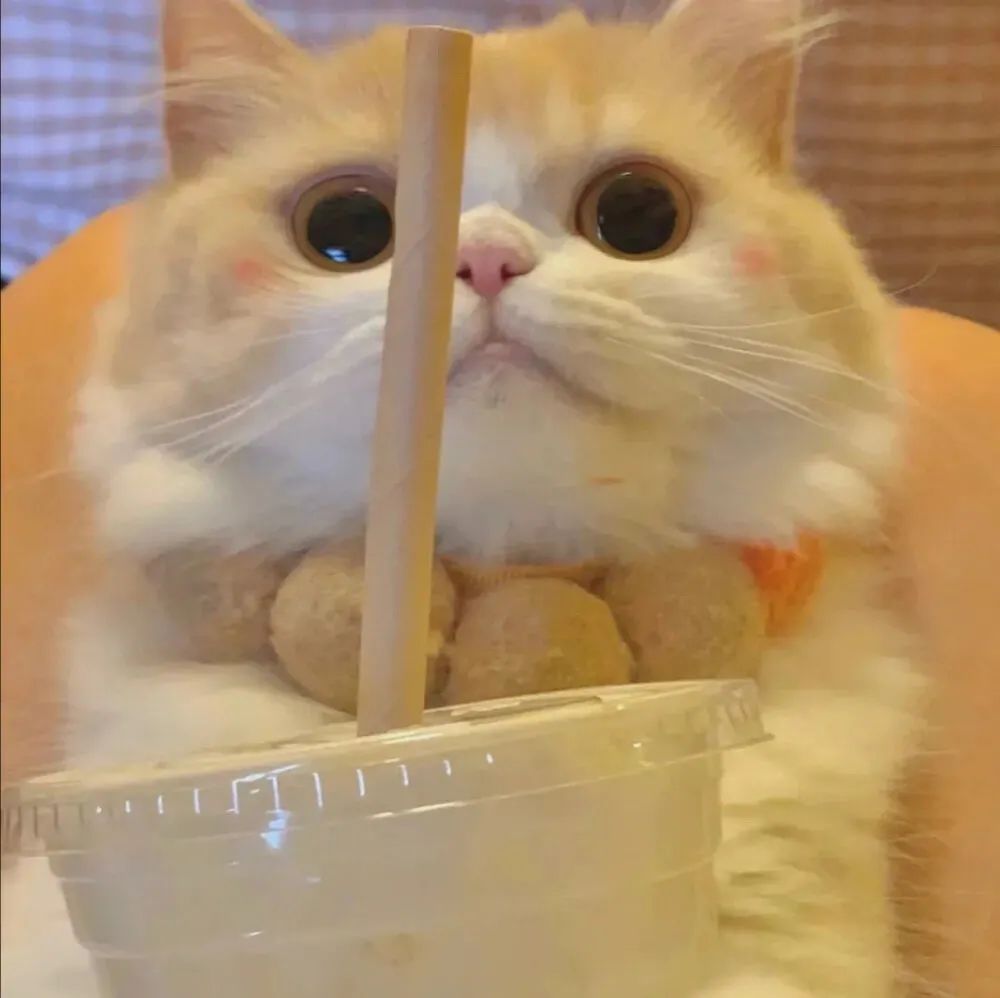 抖音男生动漫头像,抖音动漫情侣头像