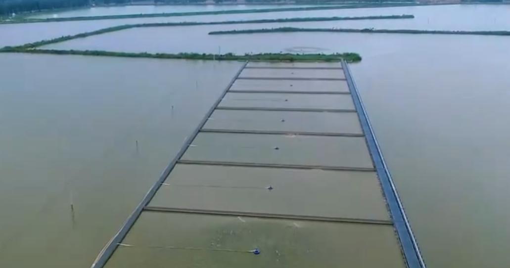 水库养鱼一年收入1000万,30亩养鱼塘一年收入