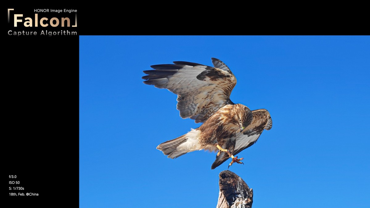 荣耀全新旗舰Magic5系列手机全球正式发布，售价899欧元起