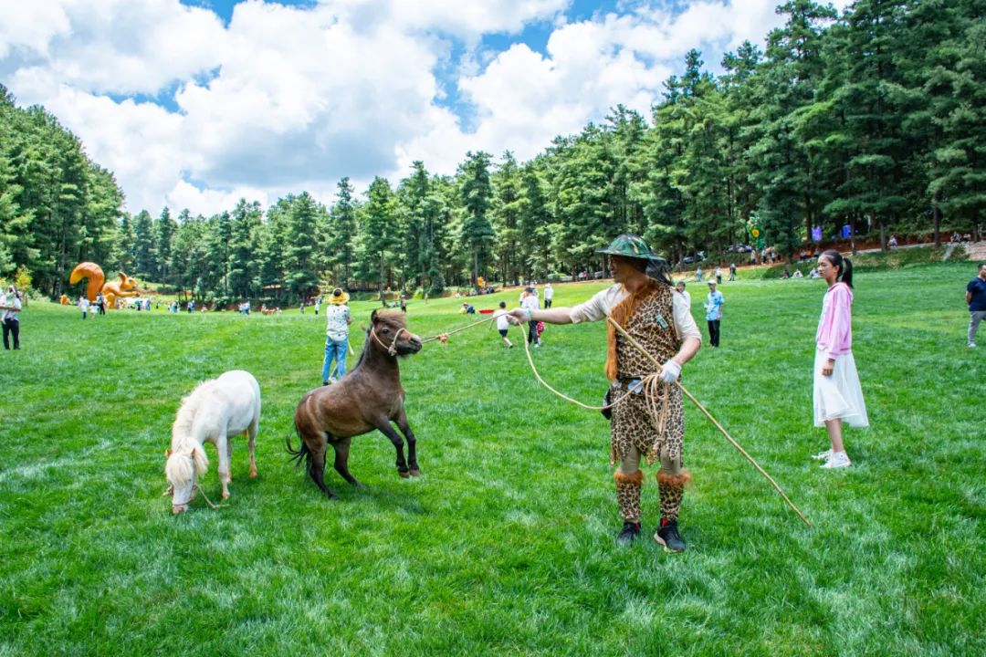 昆明旅游攻略一日游景点推荐理由,昆明玩耍推荐景点一日游攻略图