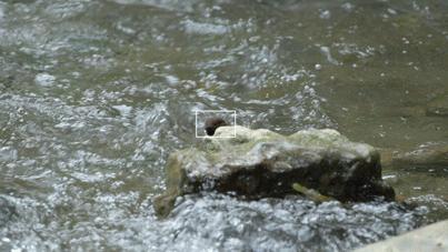 富士xh2s和富士xh2评测,富士xh2实拍体验