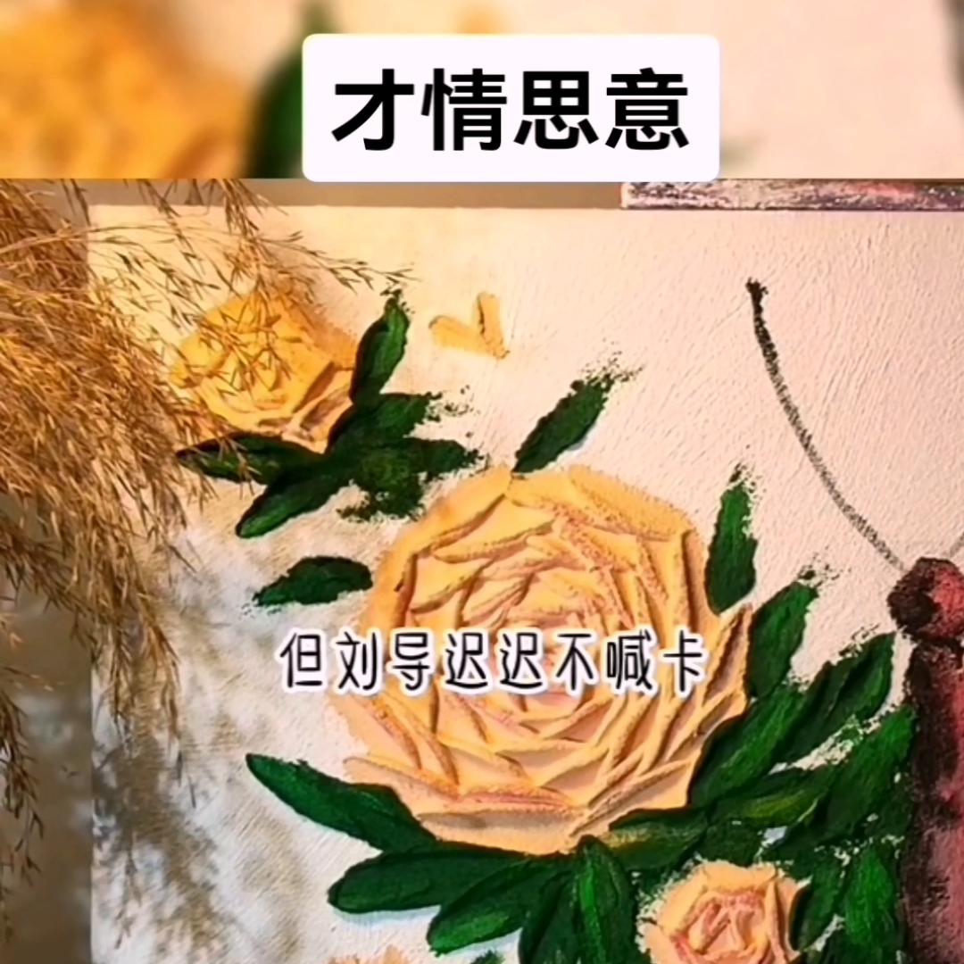 才情思意@DOU+上热门