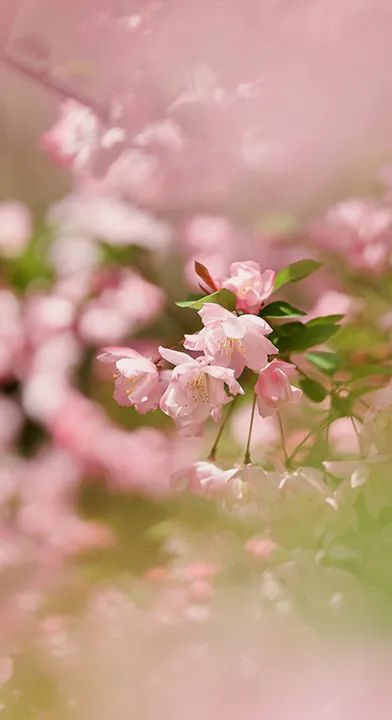 孝顺妈妈该怎么做,哄妈妈的十个方式