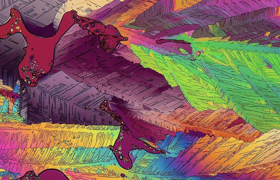 显微镜图像与真实图像,22张罕见的显微镜照片