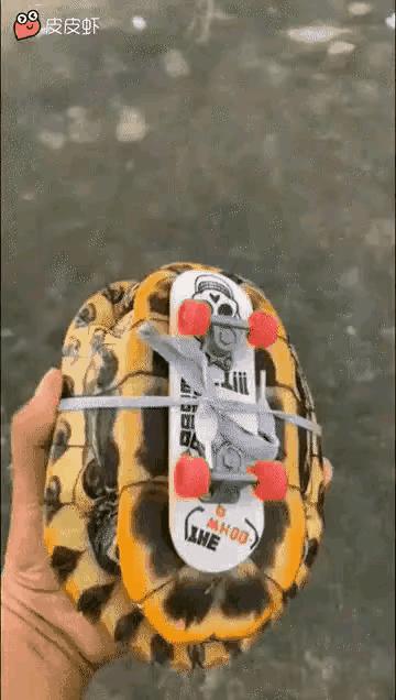 动图搞笑,搞笑动图平时笑不出来却忍不住