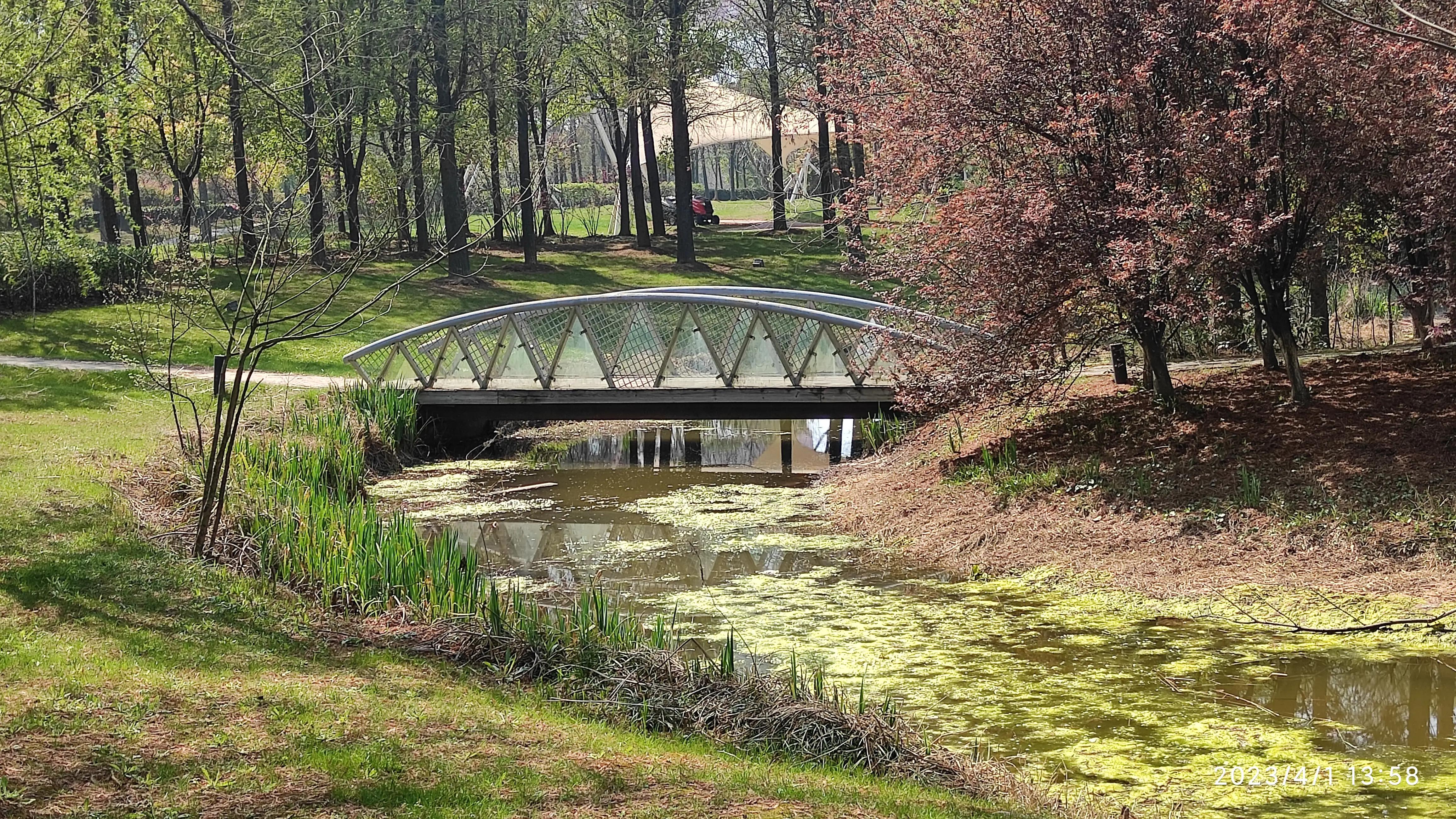 手机如何拍大片人像,手机如何拍大片