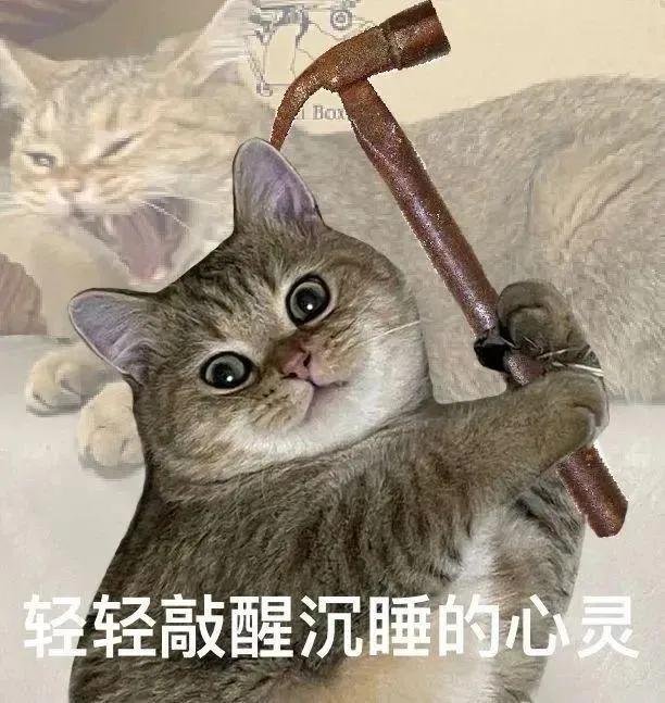 轻轻敲醒沉睡的心灵表情包高清,轻轻敲醒沉睡的心灵表情包