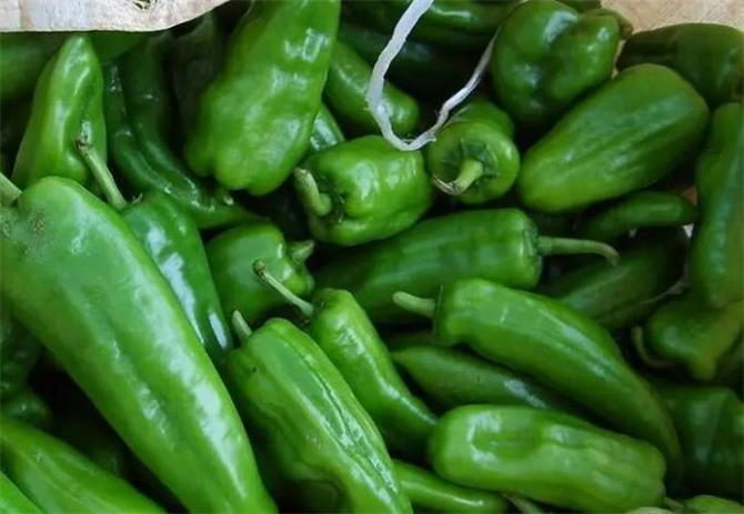 青椒冷冻时可以蒸吗,新鲜青椒的冷冻保存方法