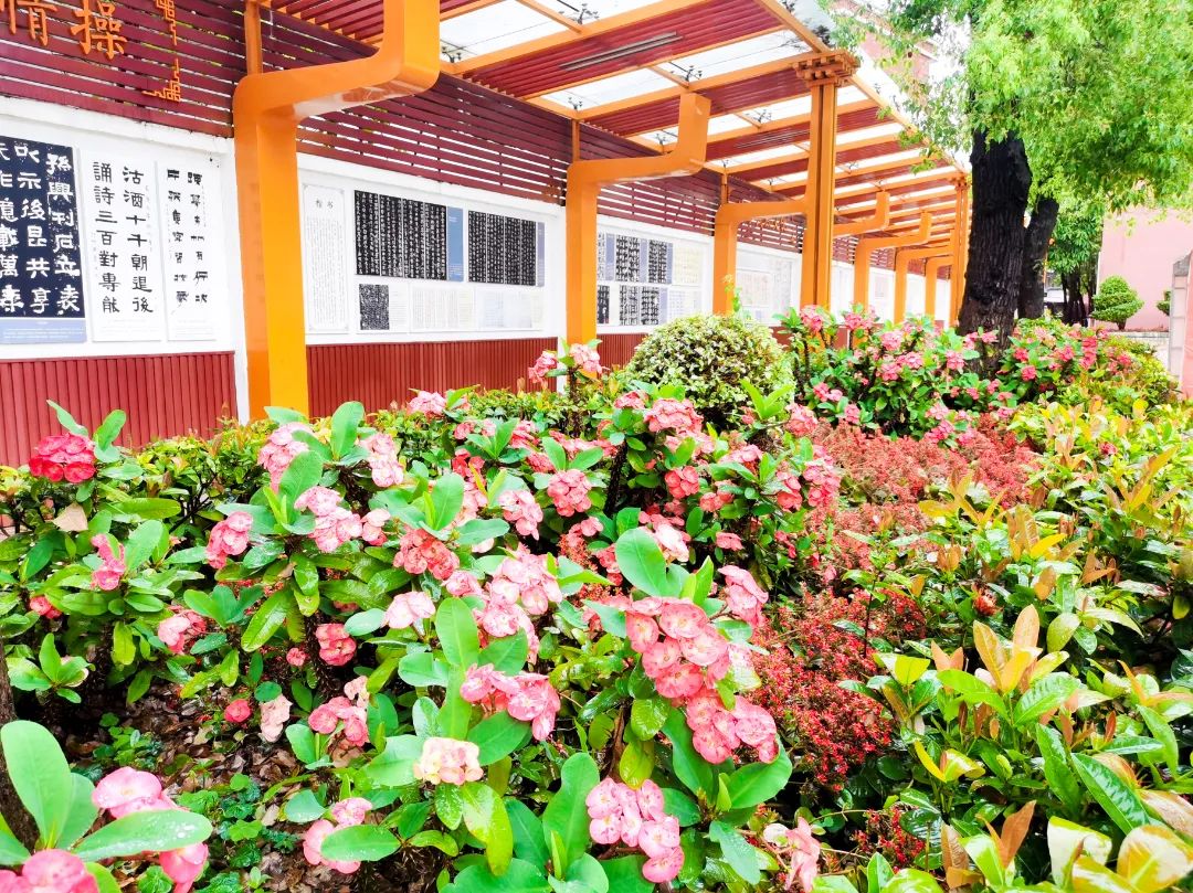 石碣四海学校学费多少钱,东莞四海学校招生简章