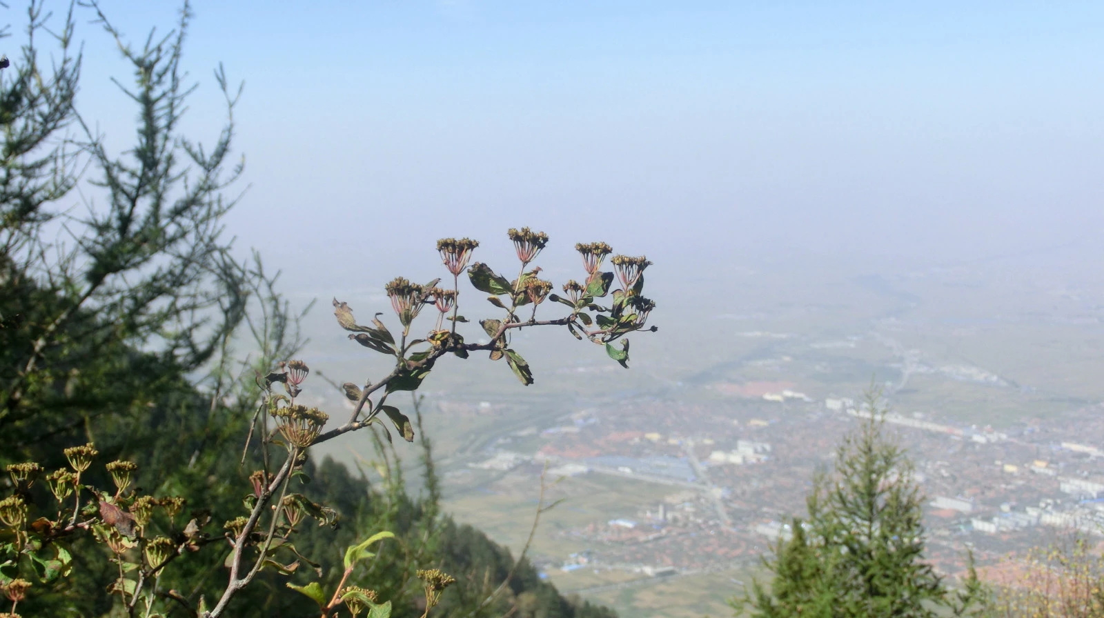 「金秋登山内晋冀」25:登恒山之快乐山行