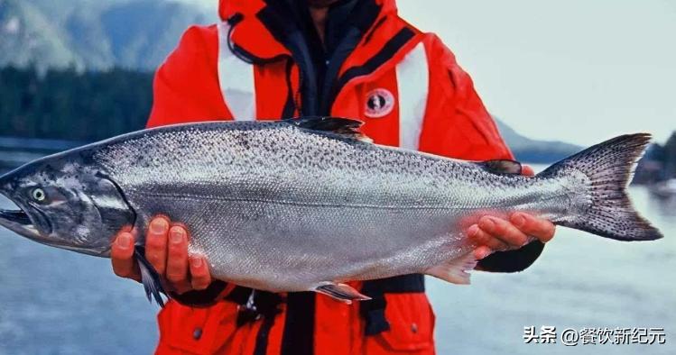 全球十大顶级海鲜排名最新,十大世界公认顶级海鲜