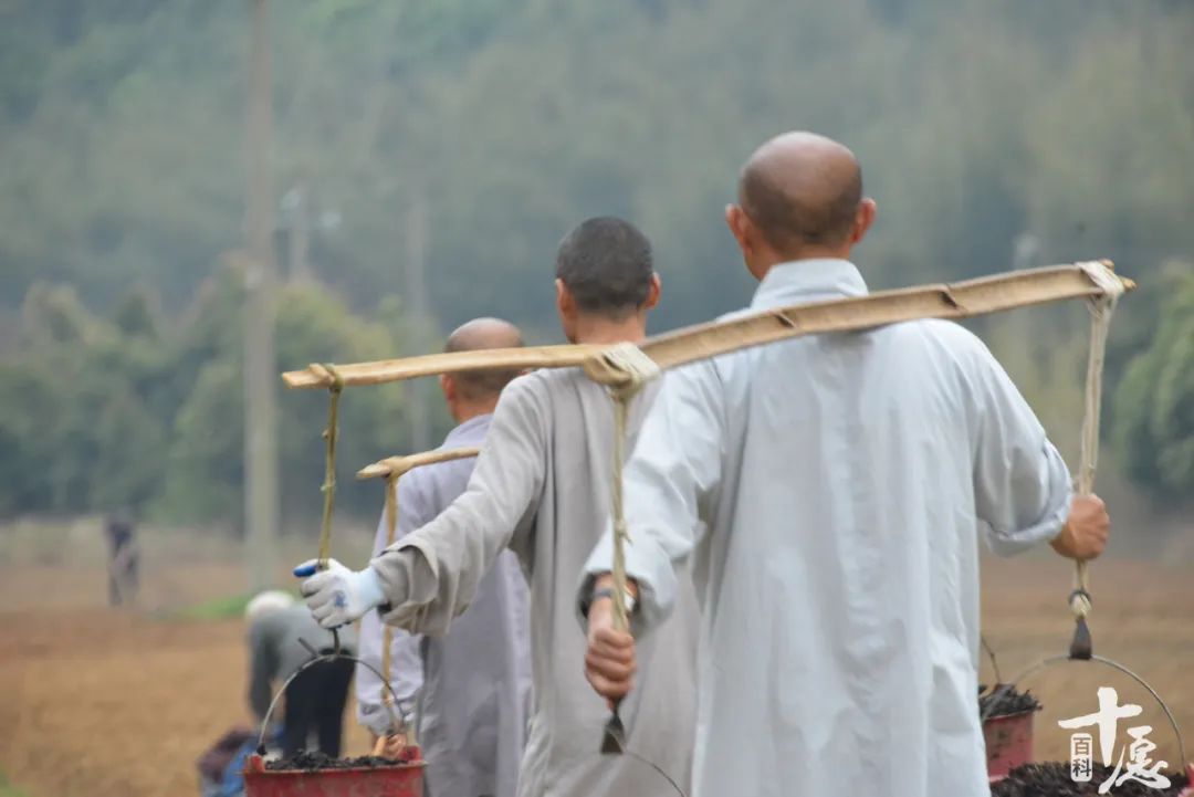 影视剧中的和尚,佛教里的僧人是什么