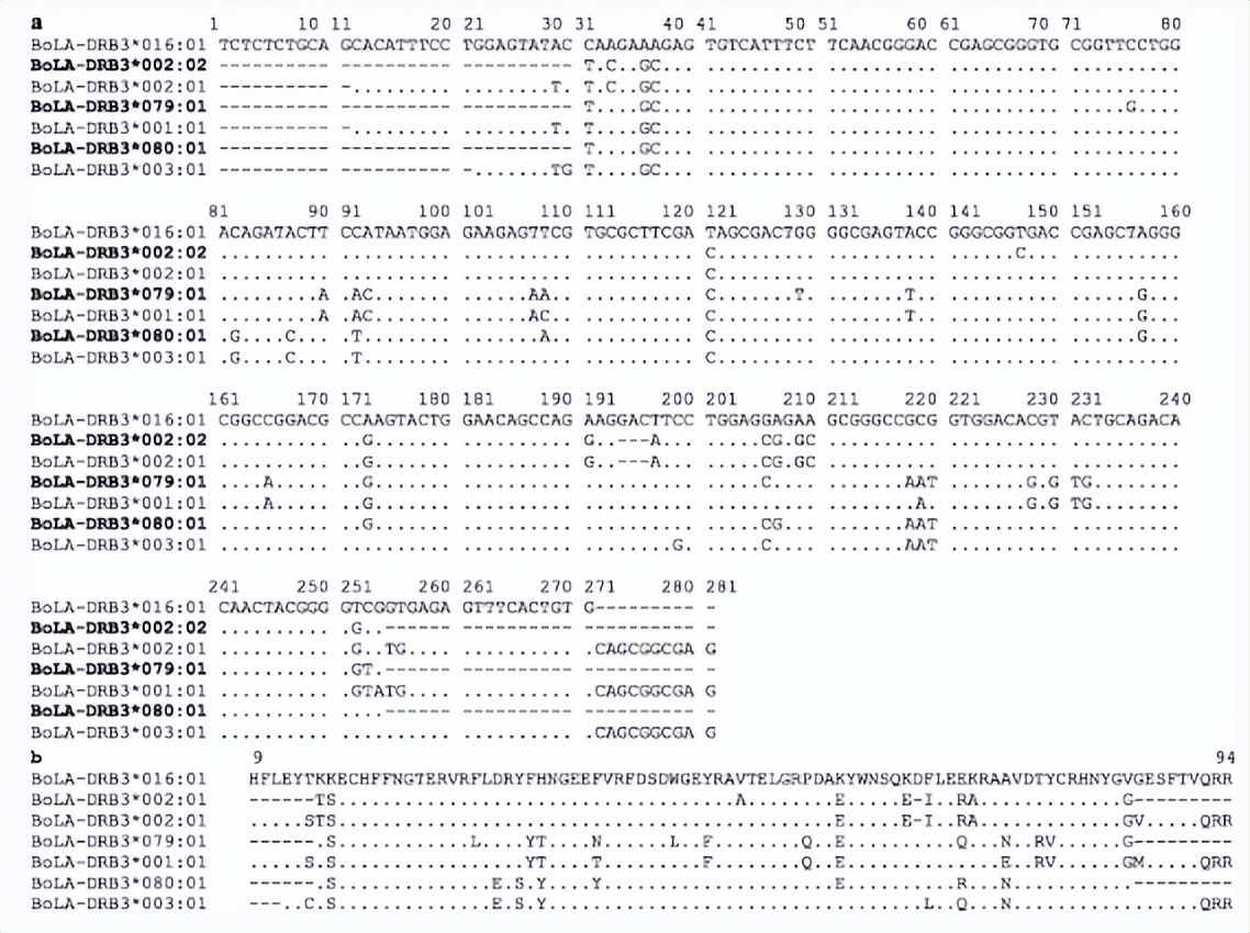 法国牛品种有哪些,全世界牛的种类和分布