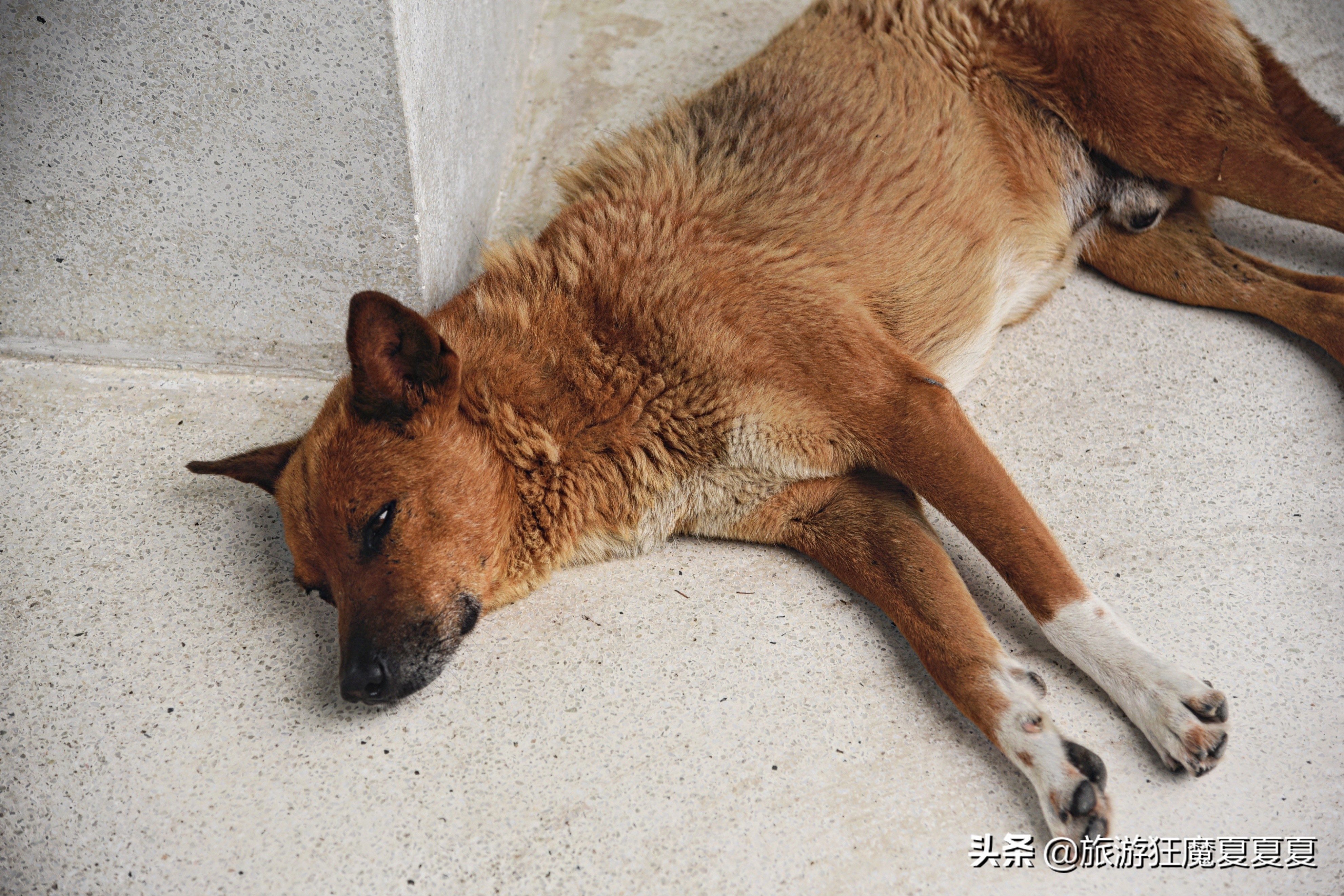 70后女孩投资800万在莫干山开民宿,80后夫妻回乡开民宿