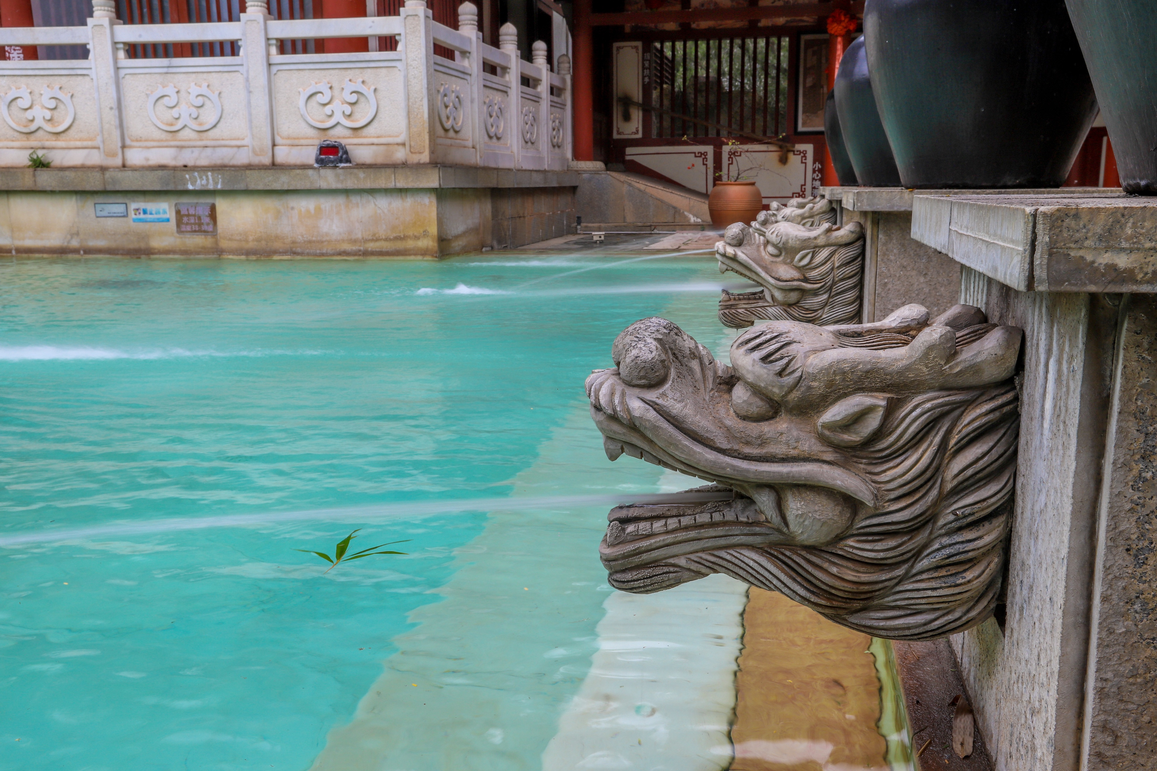 河源的真温泉在什么地址,河源温泉最多的镇